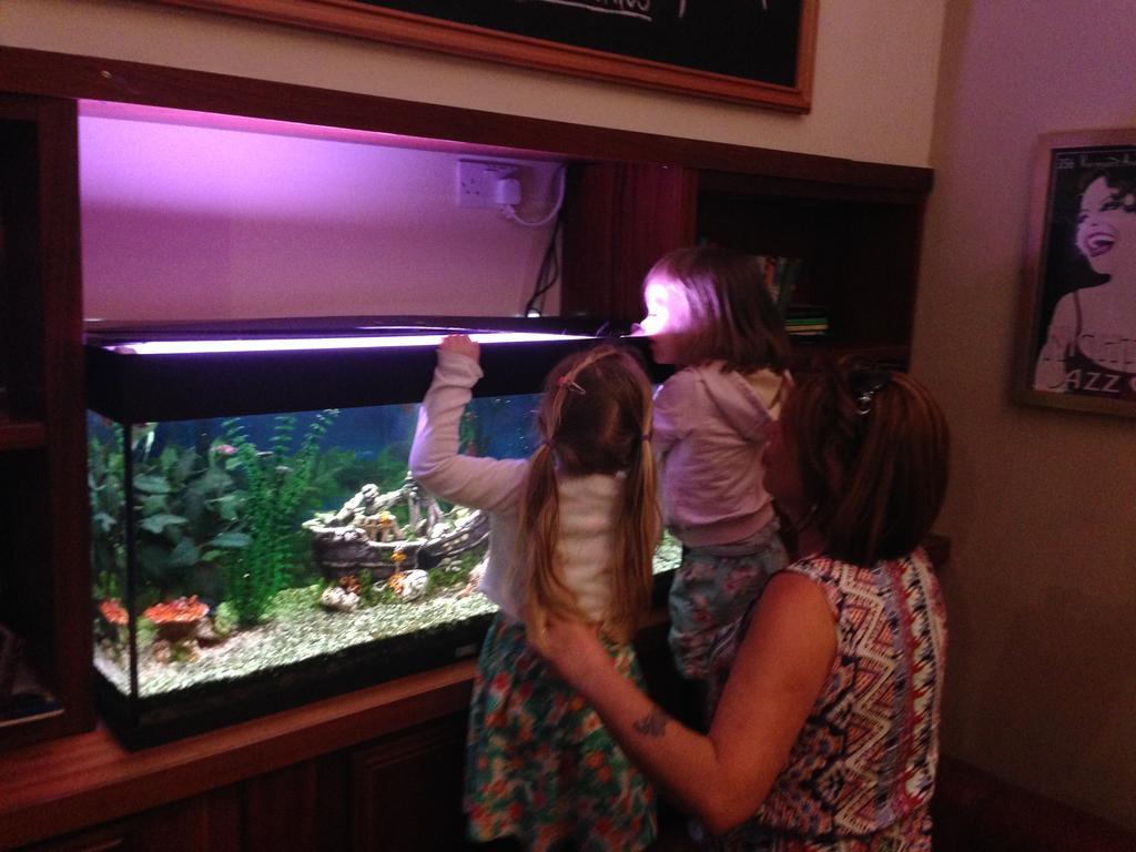 Carrick on Shannon Leitrim Marina Hotel المظهر الخارجي الصورة